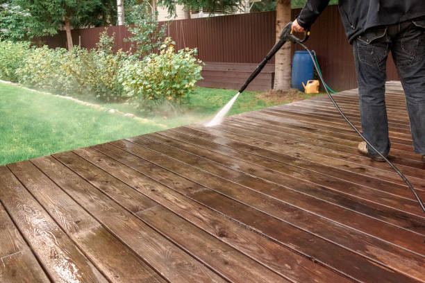 Best Gutter Cleaning  in Lakefield, MN
